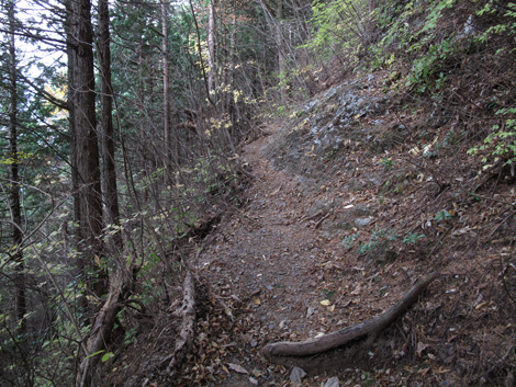 20171116hike (215)
